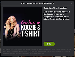 Spotify BandPage screenshot