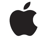 Apple logo black canvas