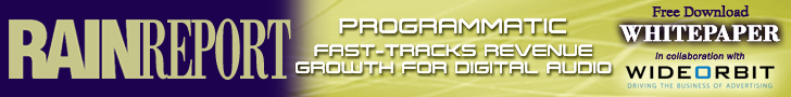 Programmatic Fast-Tracks Revenue whitepaper download 728x90