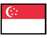 Singapore flag