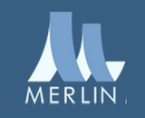 Merlin logo canvas