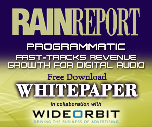 Programmatic Fast-Tracks Revenue whitepaper download 300x250