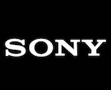 Sony logo canvas