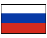 Russia flag canvas