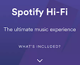 Spotify Hi-Fi canvas