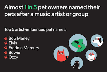 spotify pet